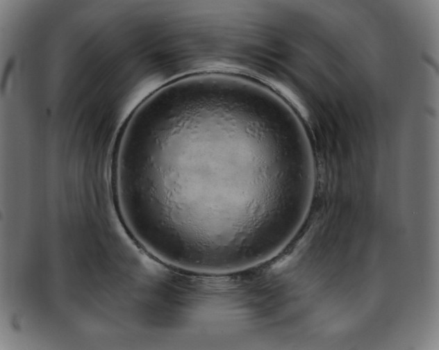 X0000097751007200803071244