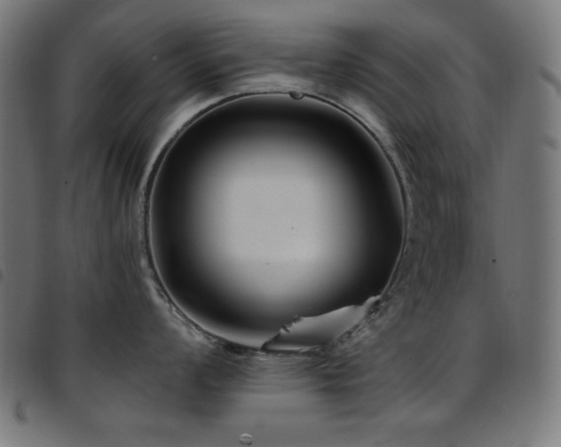 X0000097751008200803071244