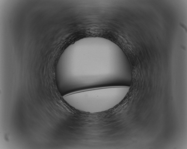 X0000097751009200803071243