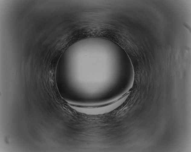 X0000097751010200803071243
