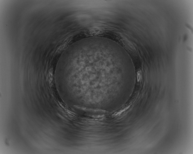 X0000097751011200803071243
