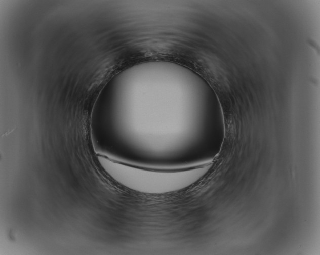 X0000097751012200803071243
