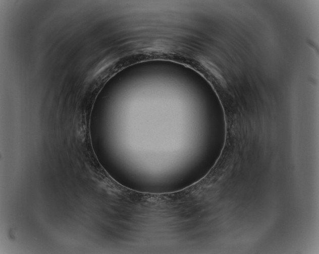 X0000097751015200803071243