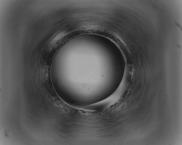 X0000097751016200803071243