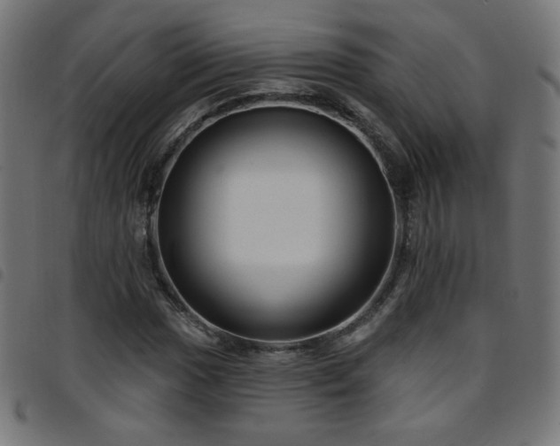 X0000097751017200803071243