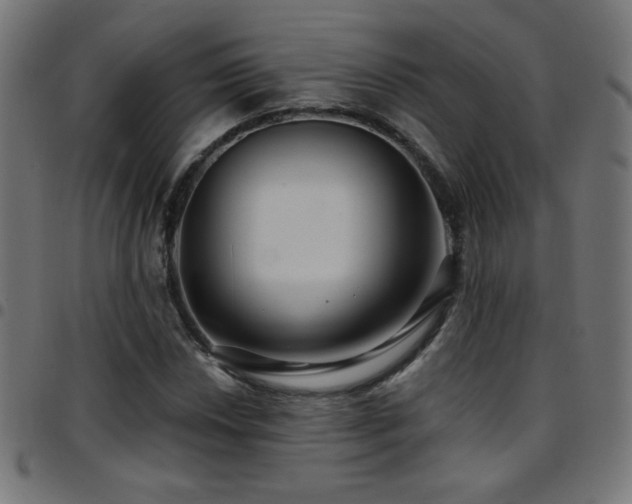 X0000097751018200803071243