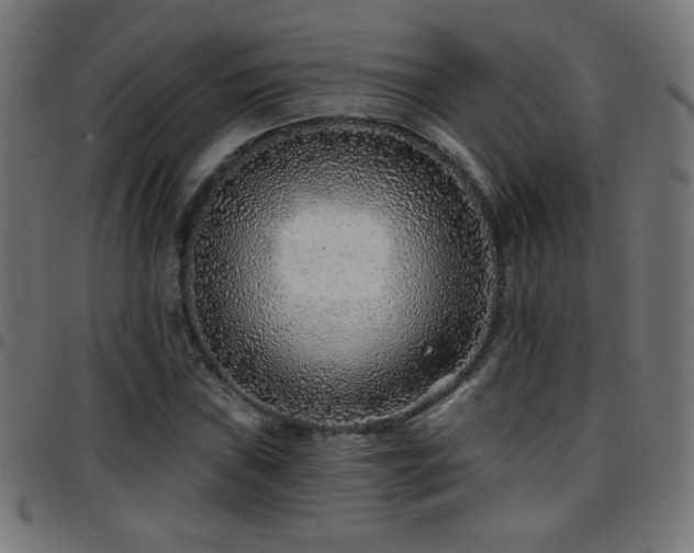 X0000097751019200803071243