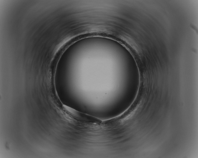 X0000097751021200803071243