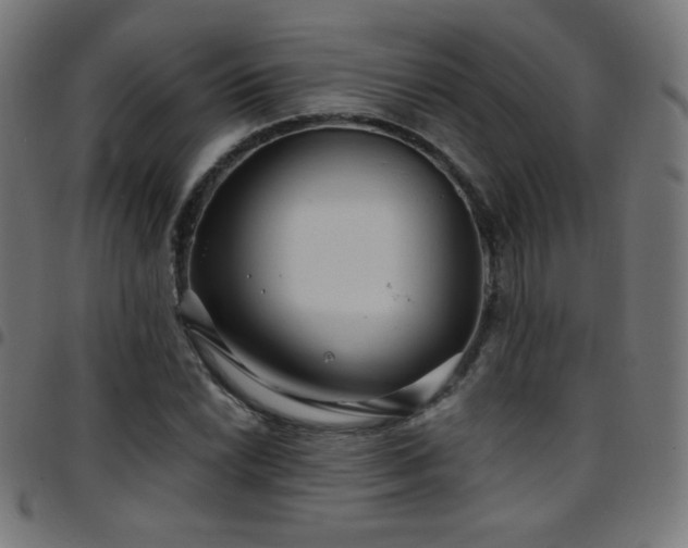 X0000097751022200803071243