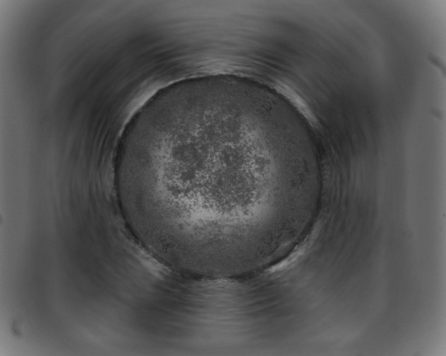 X0000097751023200803071243