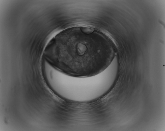 X0000097751024200803071243