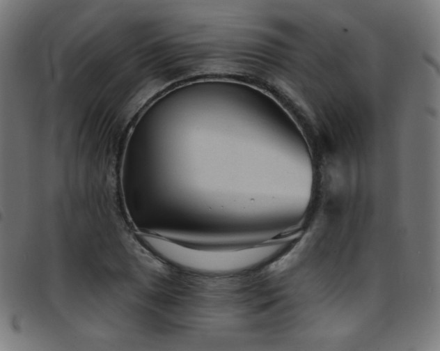 X0000097751025200803071243