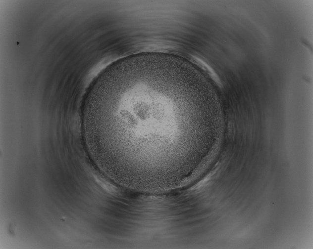 X0000097751027200803071243