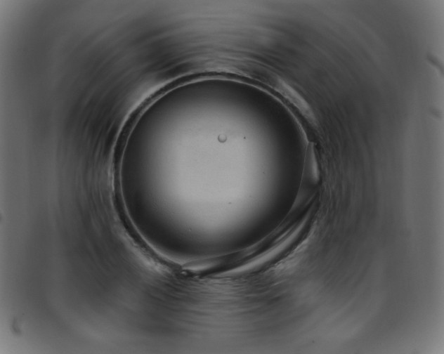 X0000097751028200803071243