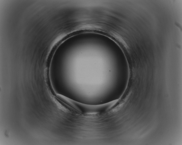 X0000097751029200803071243