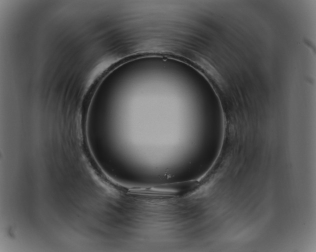X0000097751030200803071243