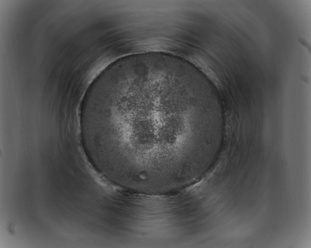X0000097751031200803071243