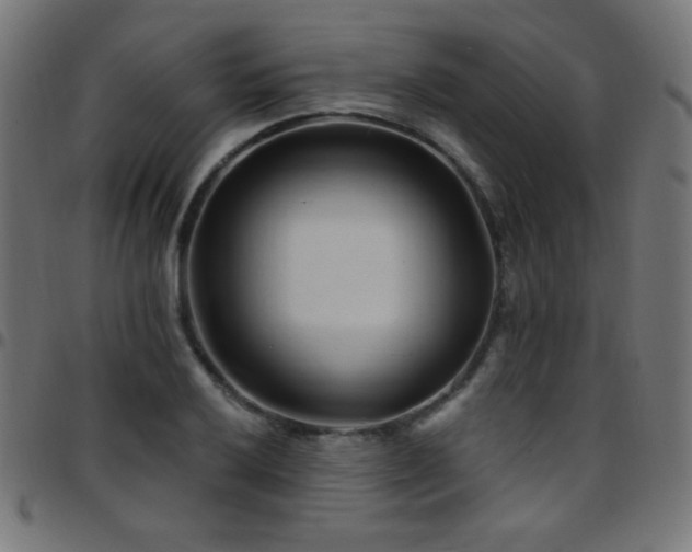 X0000097751032200803071243
