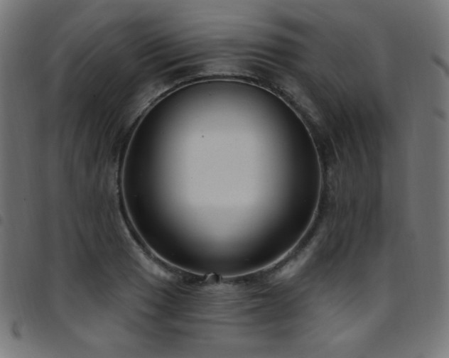 X0000097751033200803071244