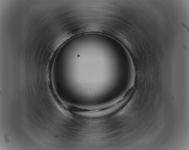 X0000097751034200803071244