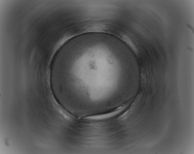 X0000097751035200803071244