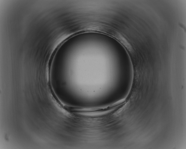 X0000097751036200803071244
