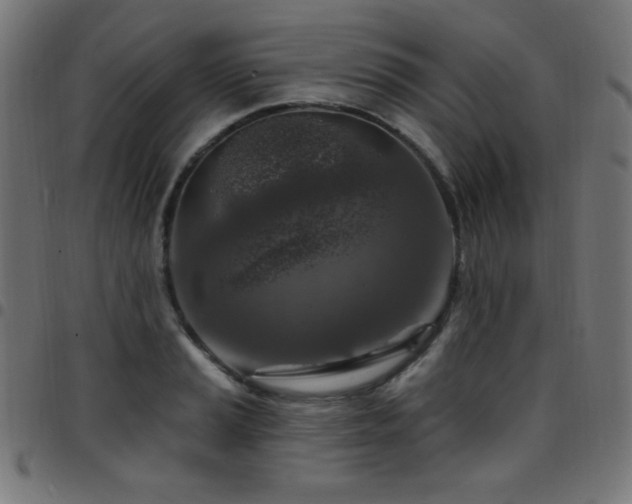 X0000097751037200803071244