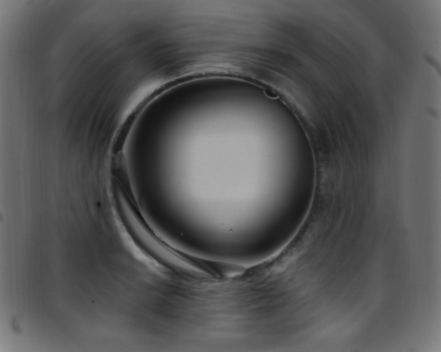 X0000097751038200803071244