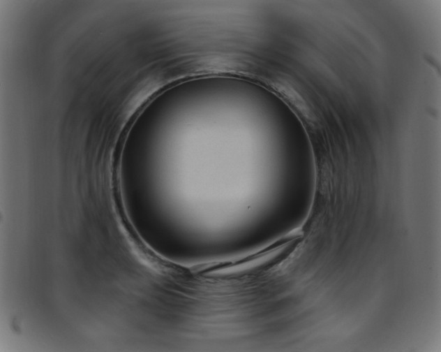 X0000097751039200803071244
