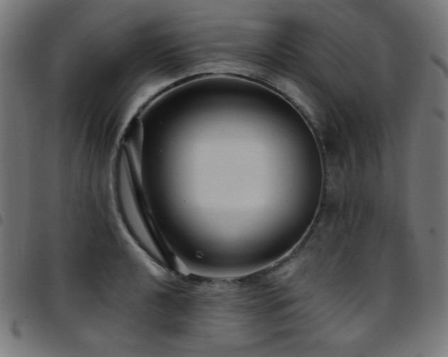 X0000097751040200803071244
