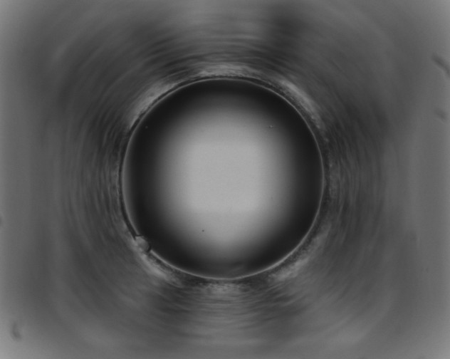 X0000097751041200803071244