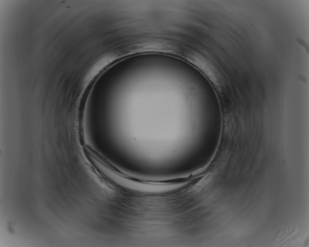 X0000097751043200803071244