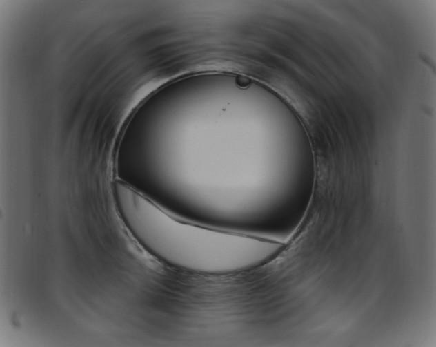 X0000097751044200803071244