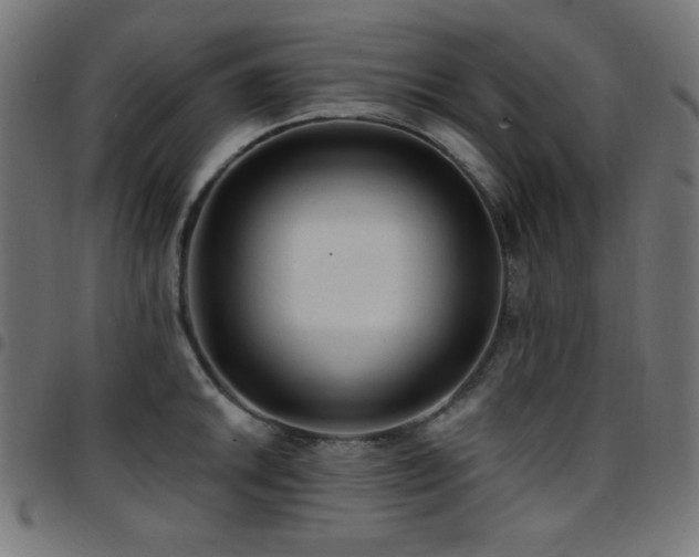 X0000097751046200803071244