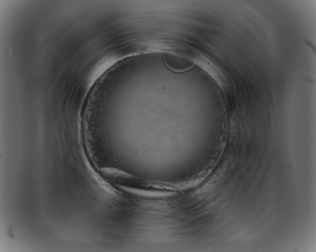 X0000097751047200803071244