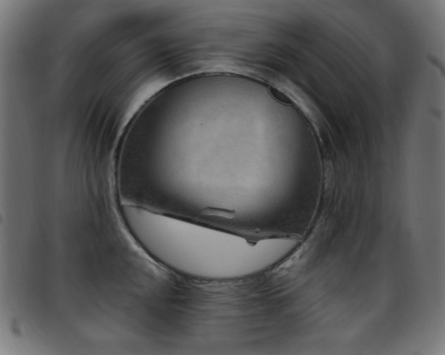 X0000097751048200803071244