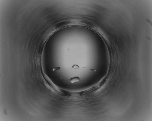X0000097751049200803071244
