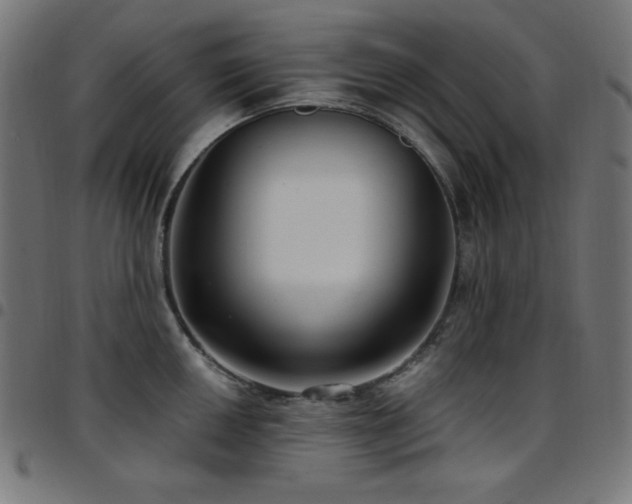X0000097751050200803071244