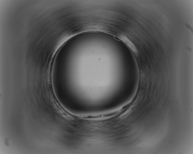 X0000097751052200803071244