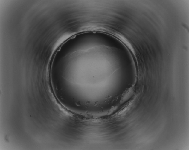 X0000097751053200803071244
