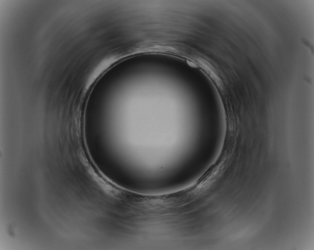 X0000097751054200803071244