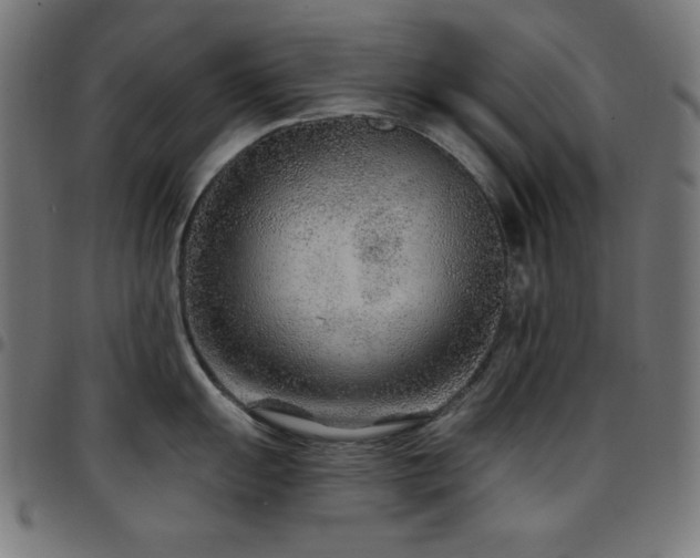 X0000097751055200803071244
