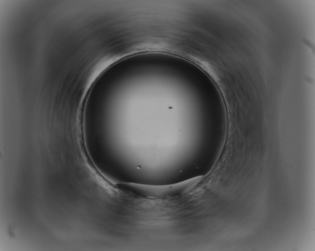 X0000097751056200803071244