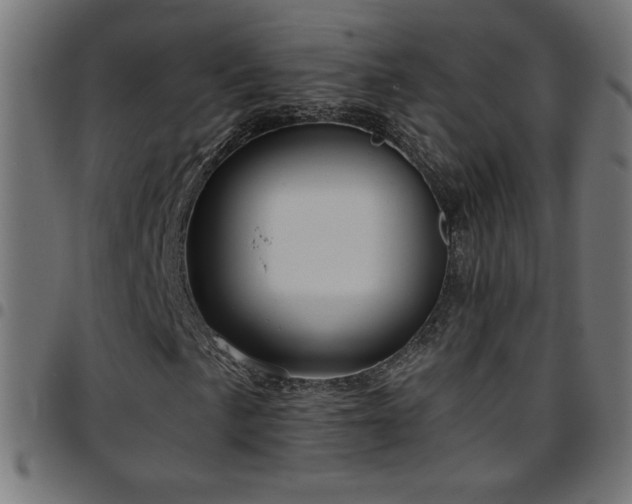 X0000097751057200803071243