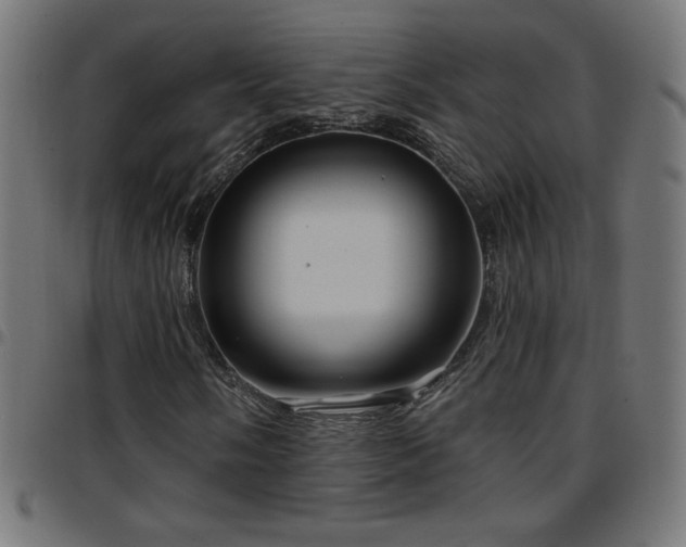 X0000097751058200803071243