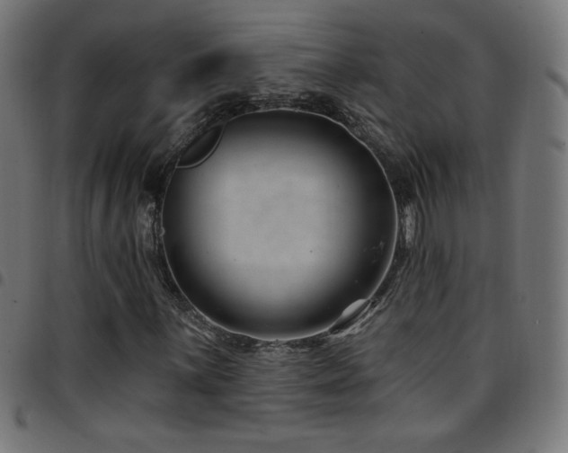 X0000097751059200803071243