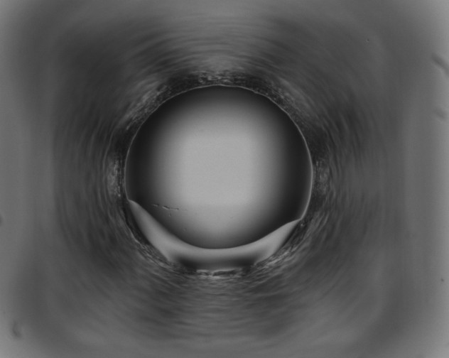X0000097751060200803071243