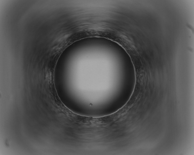 X0000097751061200803071243