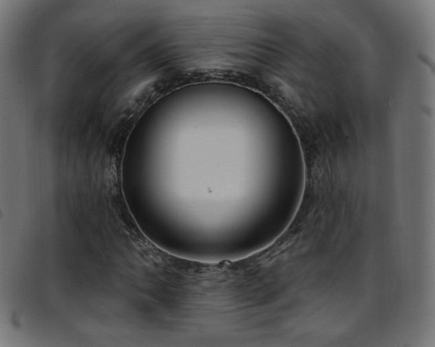 X0000097751062200803071243