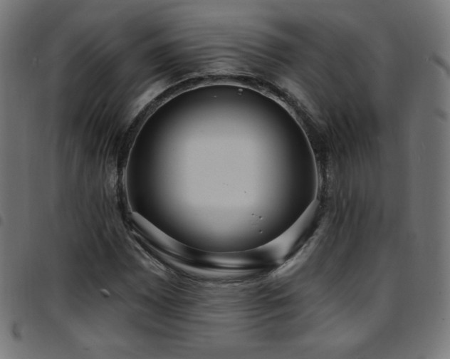 X0000097751065200803071243